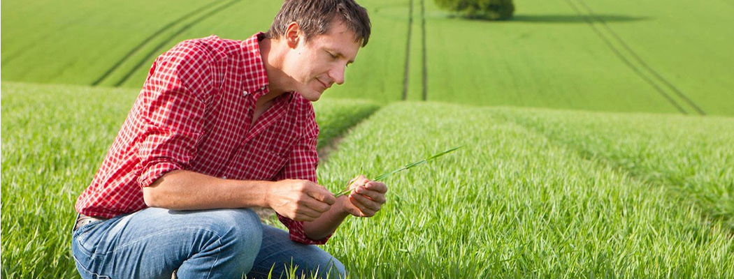 Registros de Plaguicidas Agrícolas