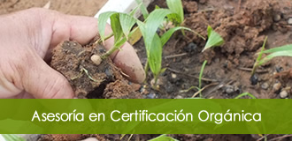 certificación organica