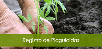 plaguicidas